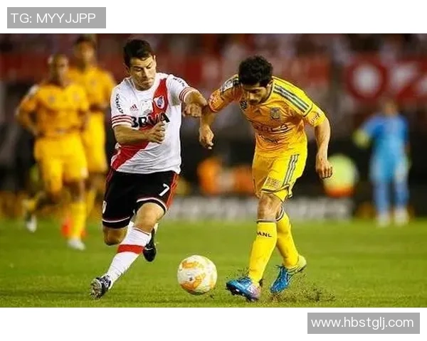 足球明星与老虎亲密接触的视频引发热议背后的故事与反思