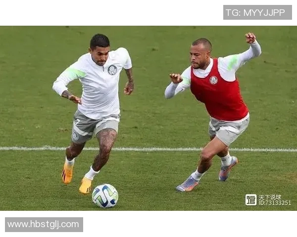 巴西红牛与帕尔梅拉的激烈对决揭示足球战术与团队精神的较量