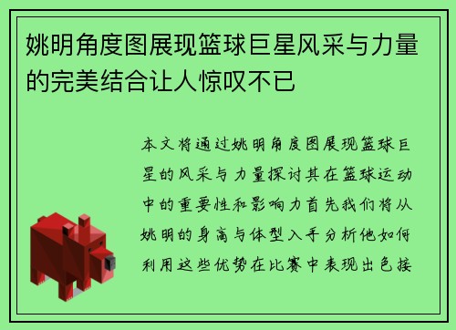 姚明角度图展现篮球巨星风采与力量的完美结合让人惊叹不已